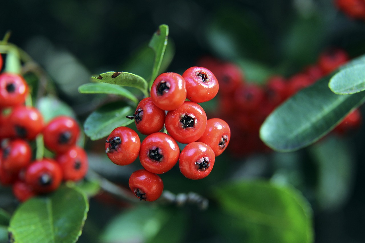 在某些事情 在某些事情