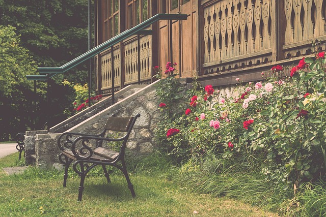 多元化的内 多元化的内