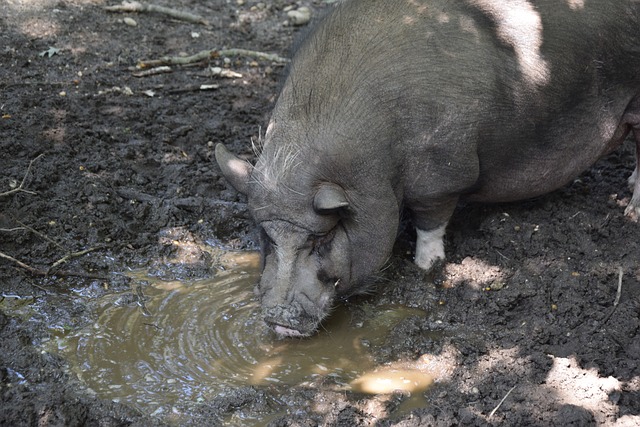 注入了新的 注入了新的