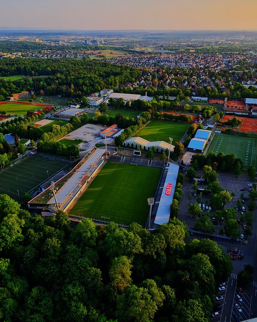 员工的自主 员工的自主