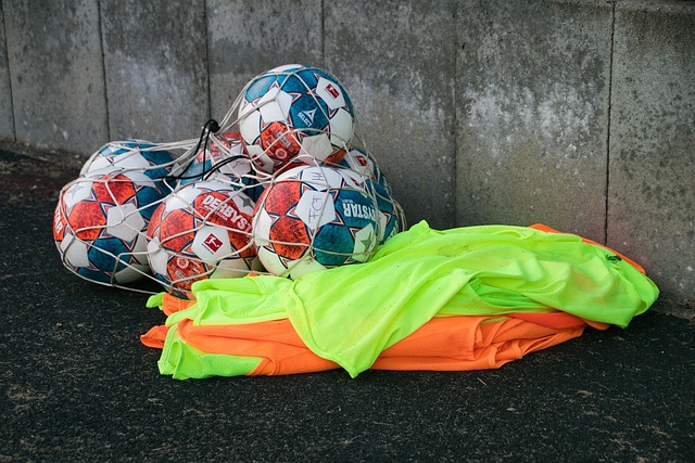 邹市明的案 邹市明的案